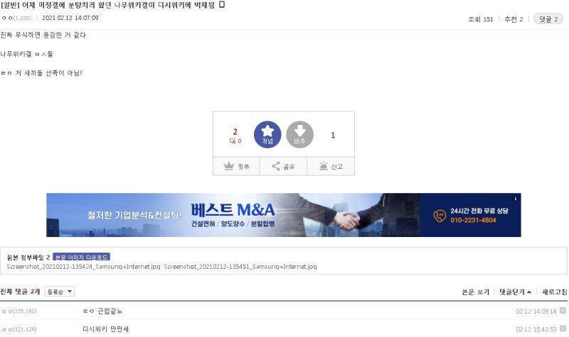 파일:20210212dcinside.jpg