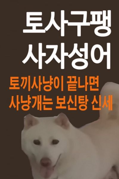 파일:토사구팽.jpg