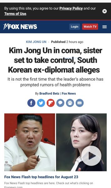 파일:개정은 코마.jpeg