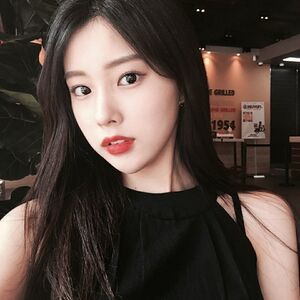 광배리즈.jpg