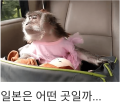 2026년 1월 5일 (월) 19:18 판의 섬네일