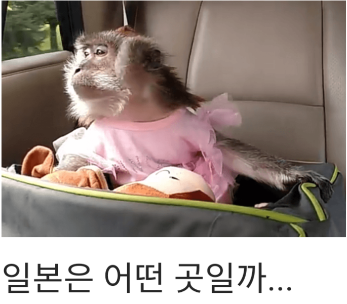 파일:곳일까3.png