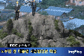 2026년 1월 5일 (월) 19:21 판의 섬네일