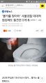 2026년 1월 5일 (월) 19:13 판의 섬네일