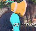 2026년 1월 5일 (월) 19:14 판의 섬네일