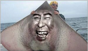 홍어 그자체.jpg