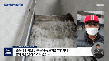 2026년 1월 5일 (월) 19:12 판의 섬네일