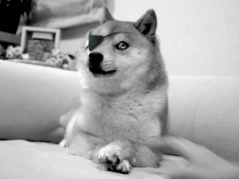 파일:D-doge.jpg