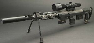 DSR-1.jpg