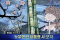 2026년 1월 5일 (월) 19:07 판의 섬네일