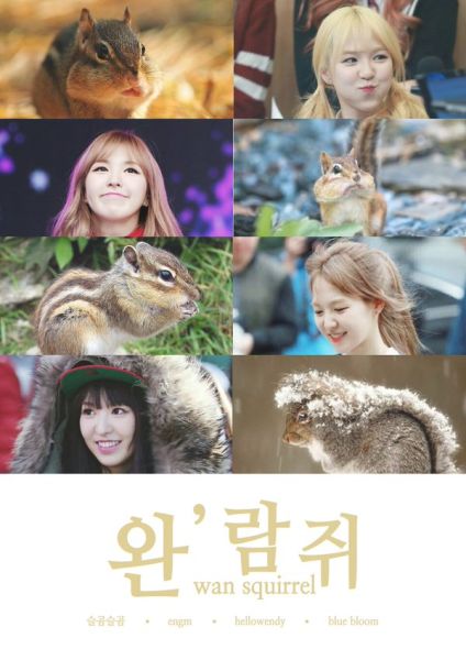 파일:완람쥐1.jpg