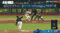 2026년 1월 5일 (월) 19:09 판의 섬네일