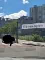 2026년 1월 5일 (월) 19:11 판의 섬네일