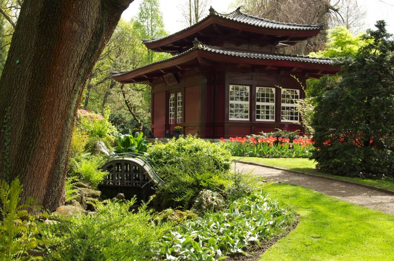 파일:Japanischer Garten.jpg
