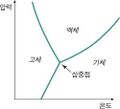 2026년 1월 5일 (월) 19:20 판의 섬네일