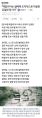 2026년 1월 5일 (월) 19:09 판의 섬네일