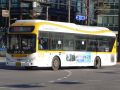 2026년 1월 5일 (월) 19:16 판의 섬네일