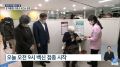 2026년 1월 5일 (월) 19:21 판의 섬네일