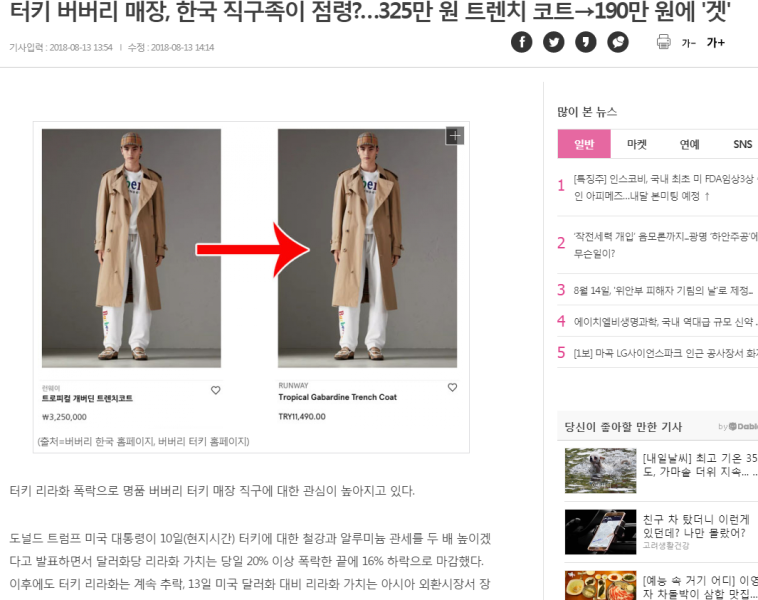 파일:터키 버버리.PNG
