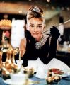 2026년 1월 5일 (월) 19:19 판의 섬네일