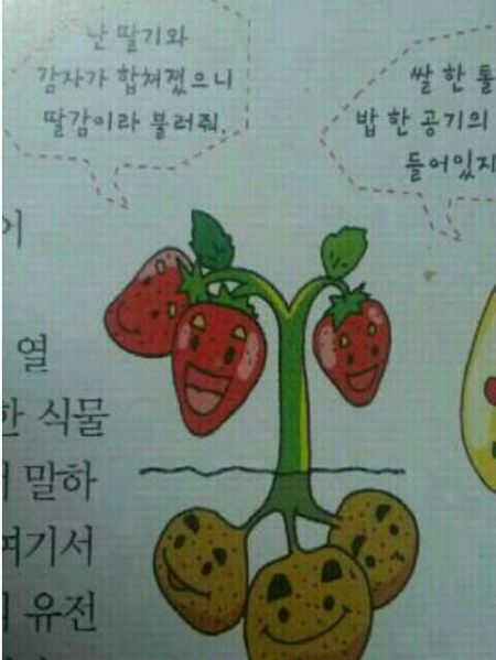파일:BeDUuqQCQAAOgKK.jpg