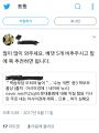 2026년 1월 5일 (월) 19:15 판의 섬네일