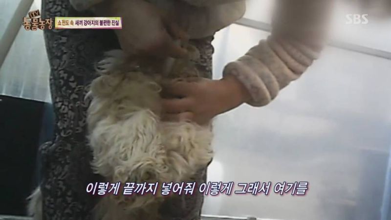 파일:개공장6.jpg