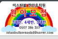 2026년 1월 5일 (월) 19:13 판의 섬네일