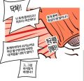 2026년 1월 5일 (월) 19:19 판의 섬네일