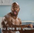 2026년 1월 5일 (월) 19:09 판의 섬네일