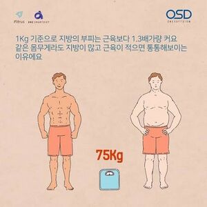 지방근육차이.jpeg