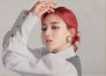 2026년 1월 5일 (월) 19:09 판의 섬네일