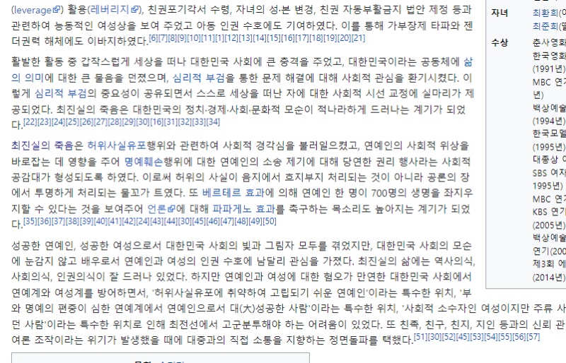 파일:존나긴주석.png
