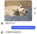 2026년 1월 5일 (월) 19:20 판의 섬네일