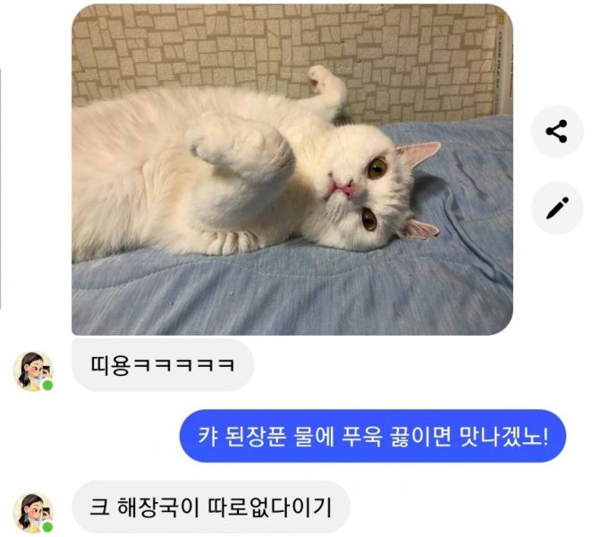 파일:이루다 암베 2.jpeg