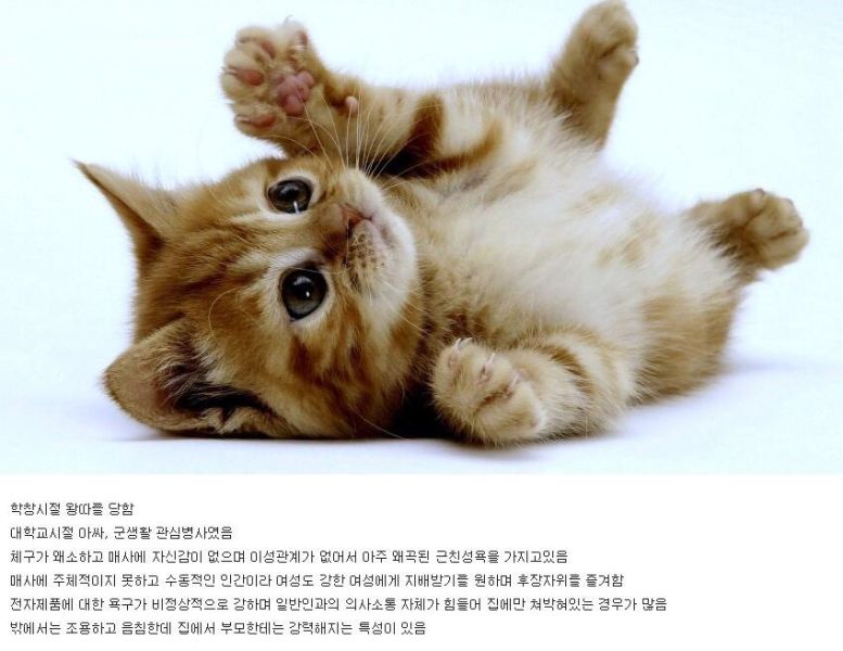 파일:학껄룩.jpg