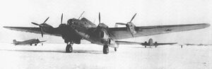 Pe-8.jpg