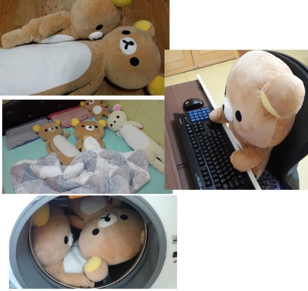파일:좆옹이4.jpg