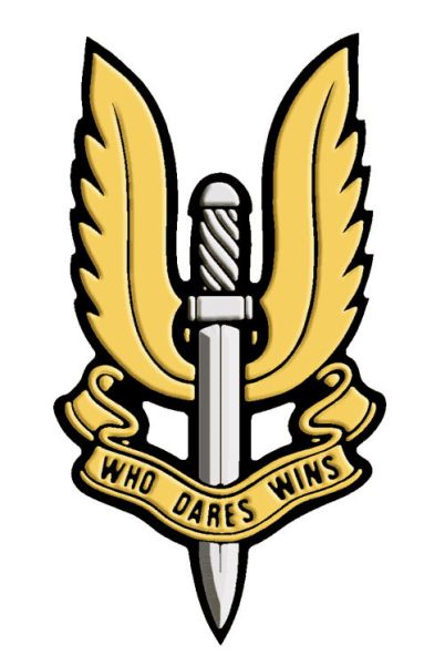파일:SAS.jpg