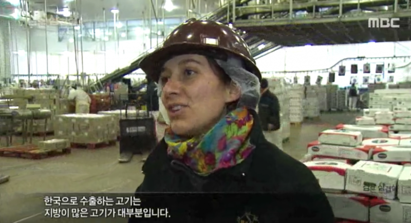 파일:호갱3.png
