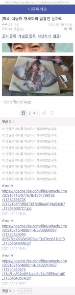 파일:틀딱광기.jpg